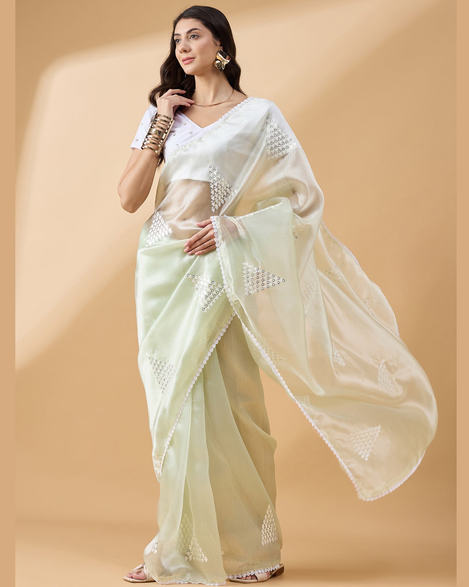 Light Green Tissue Slub Sequins & Thread Work Saree With White Embroidered Blouse