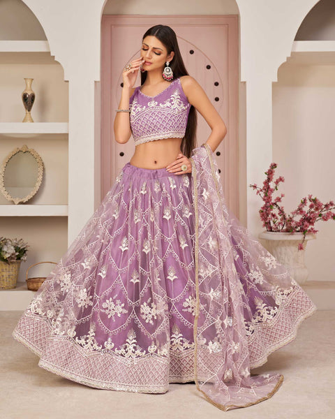 Net Lehenga Choli